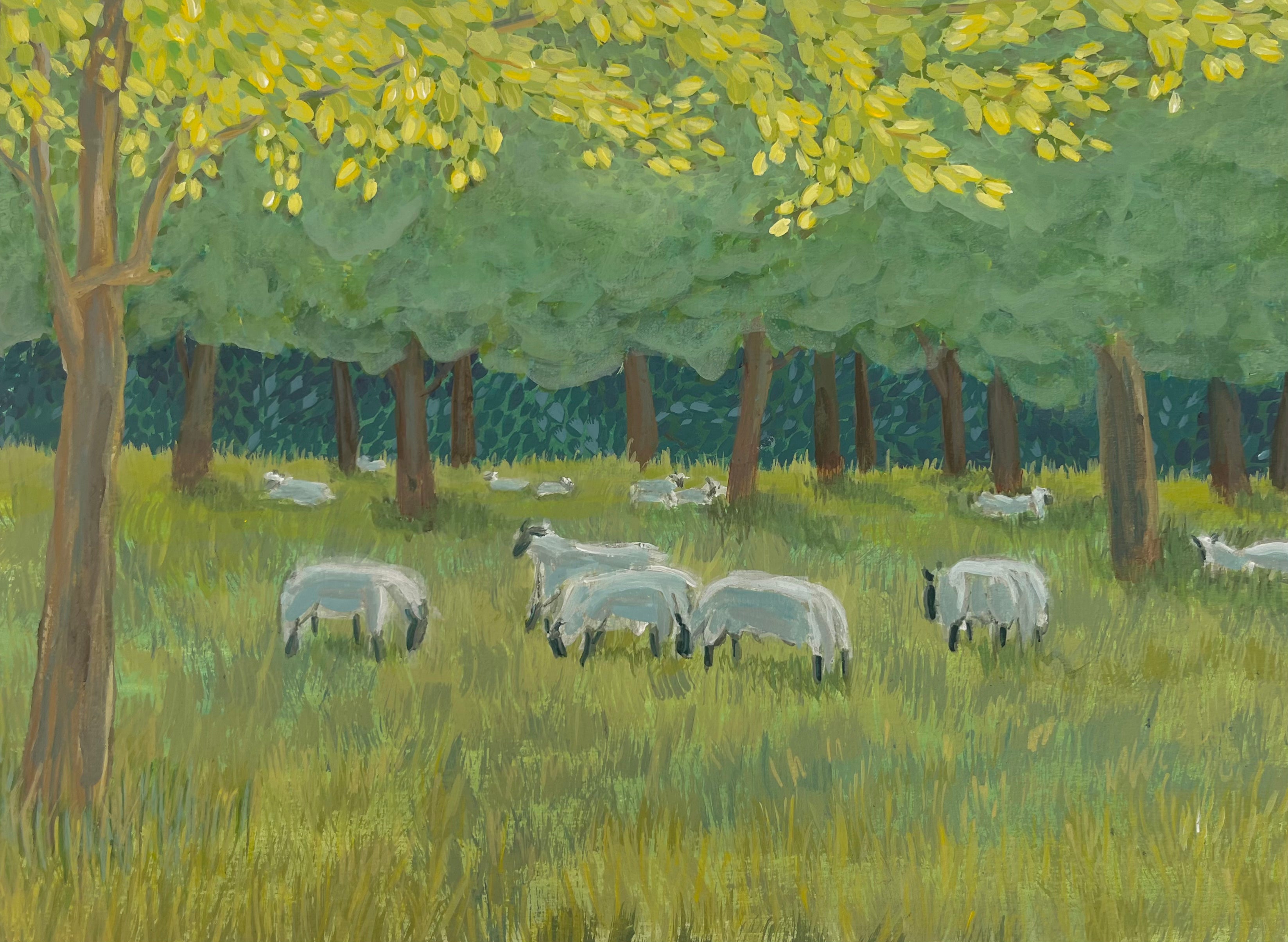 One of the sheep